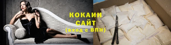 индика Абинск