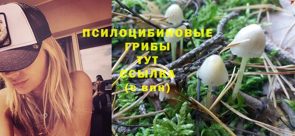 индика Абинск