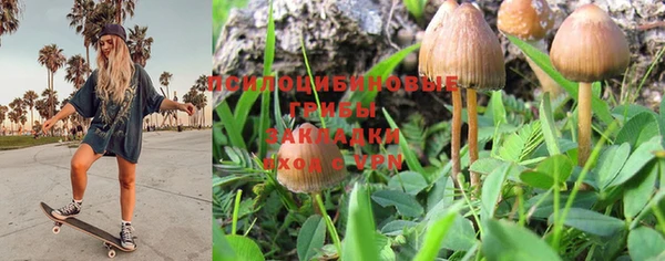 индика Абинск