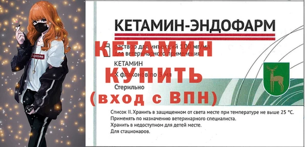 хмурый Няндома