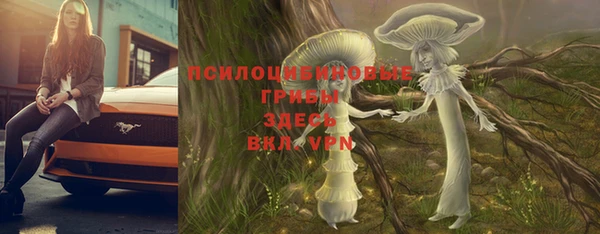 скорость Осташков