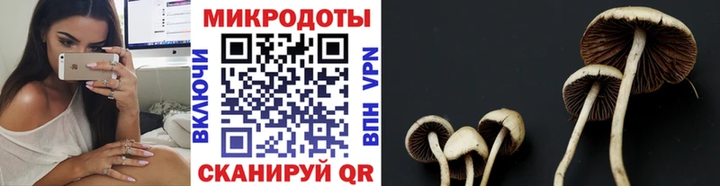 Псилоцибиновые грибы MAGIC MUSHROOMS  купить наркотики сайты  Александров 